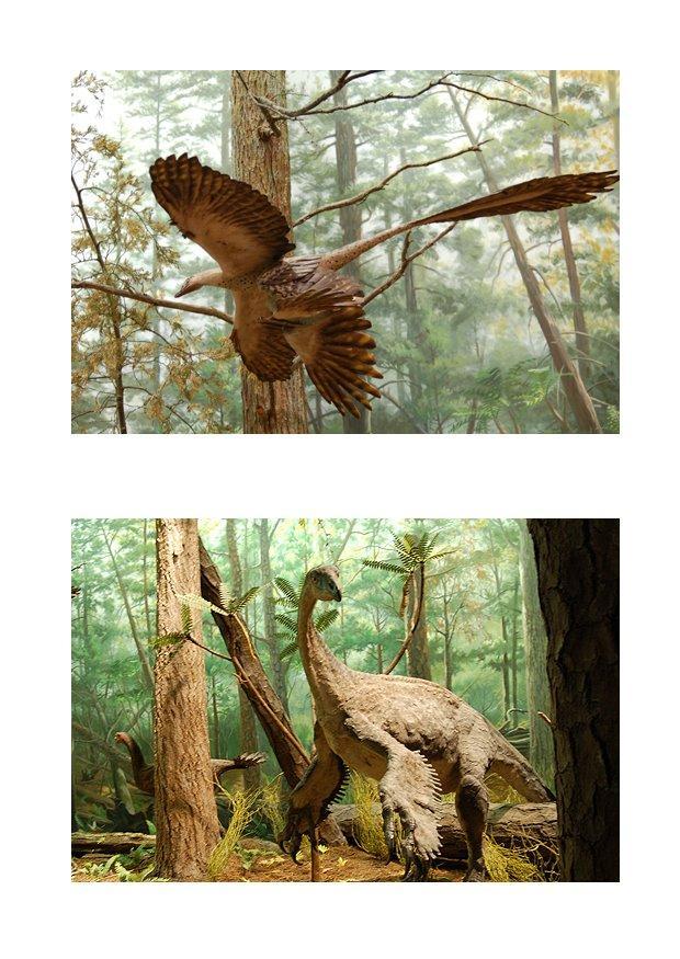 Imagen dinosaurio con plumas