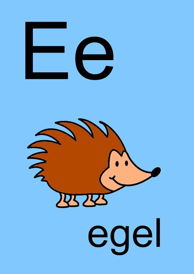 Imagen e