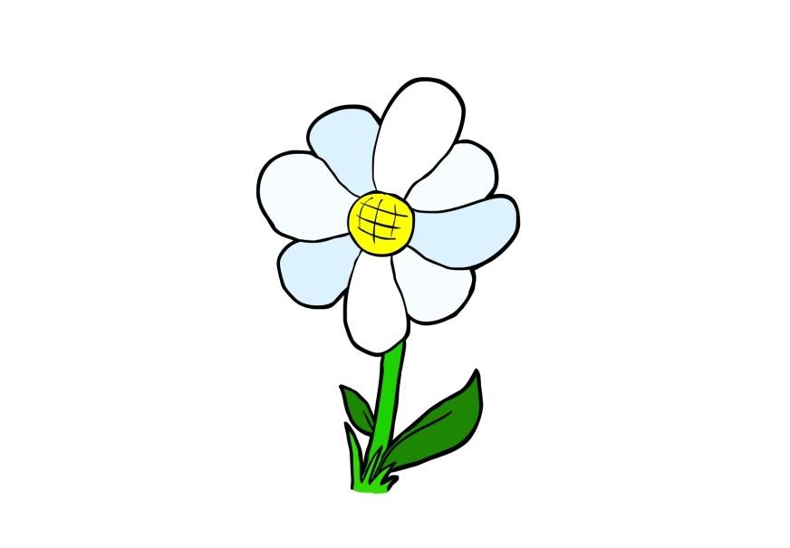Imagen flor