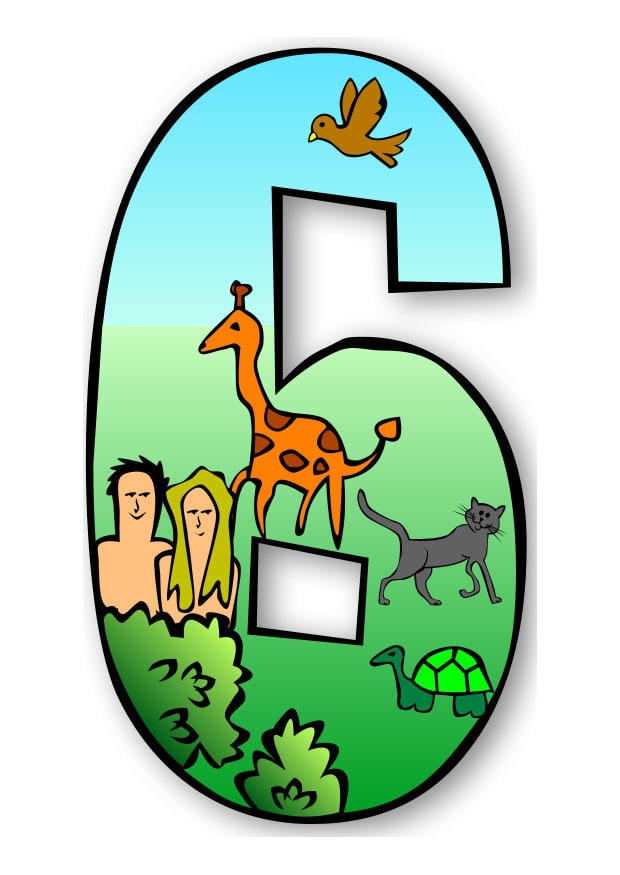 Imagen la creaciA³n - dA­a 6