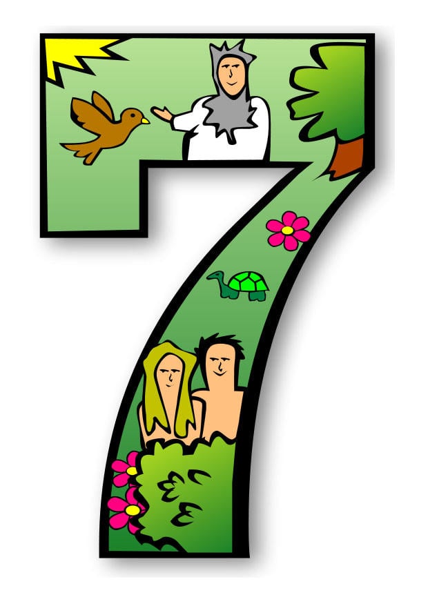 Imagen la creaciA³n - dA­a 7