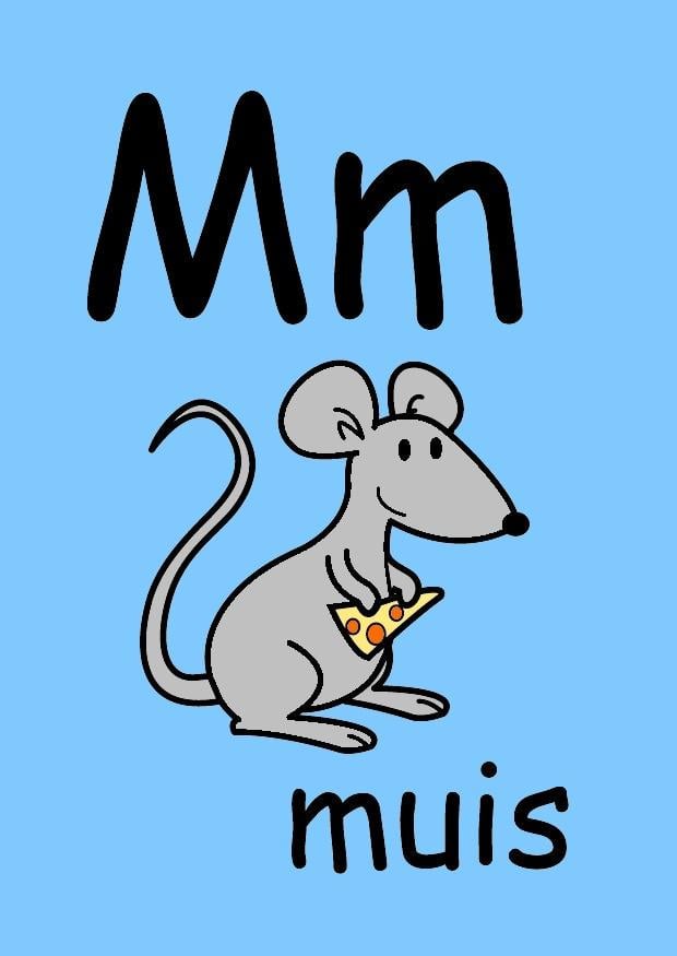 Imagen m
