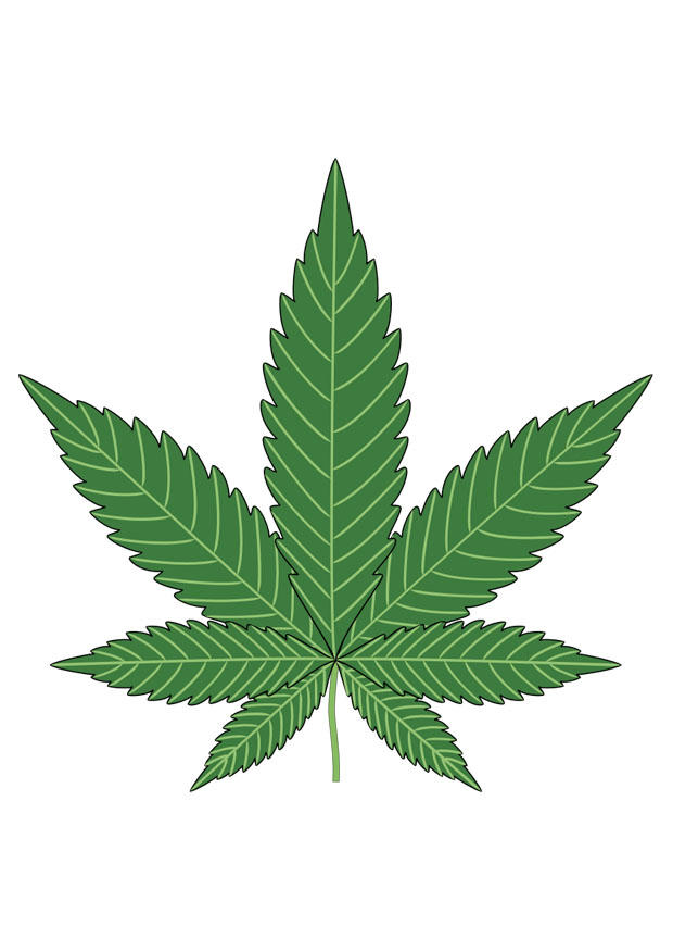Imagen marihuana
