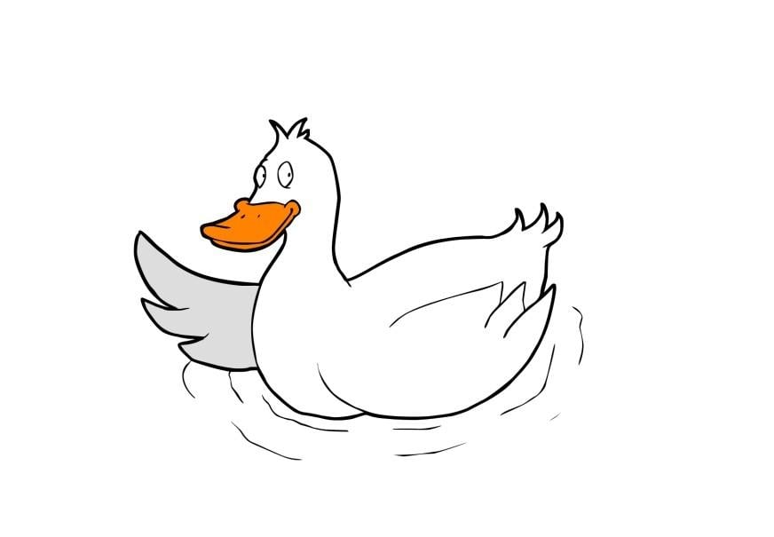 Imagen pato