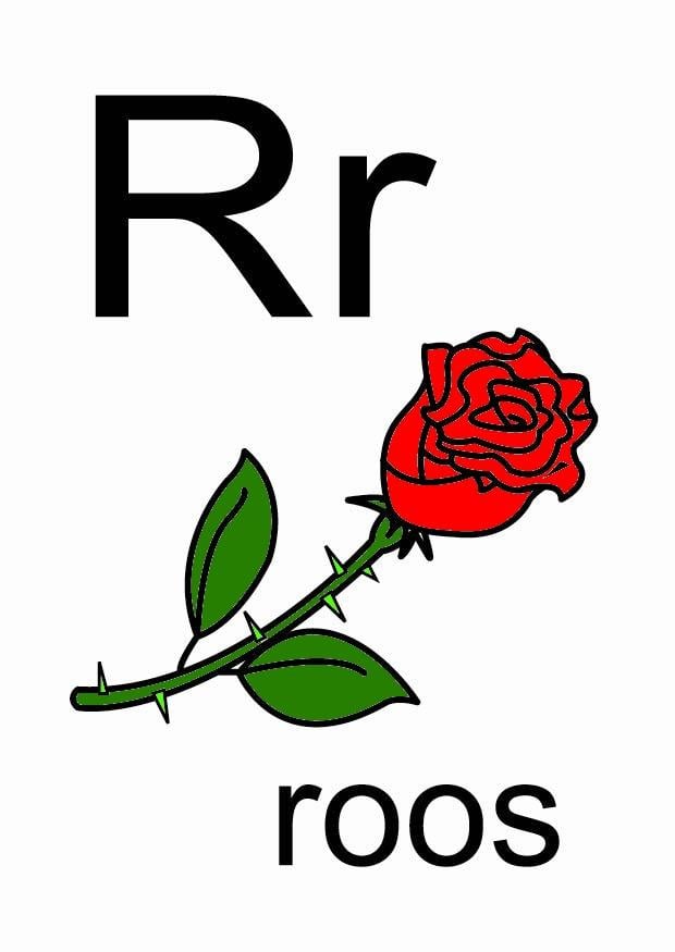 Imagen r