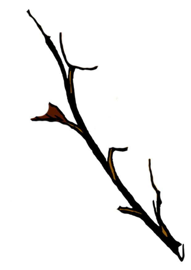 Imagen rama de A¡rbol en invierno
