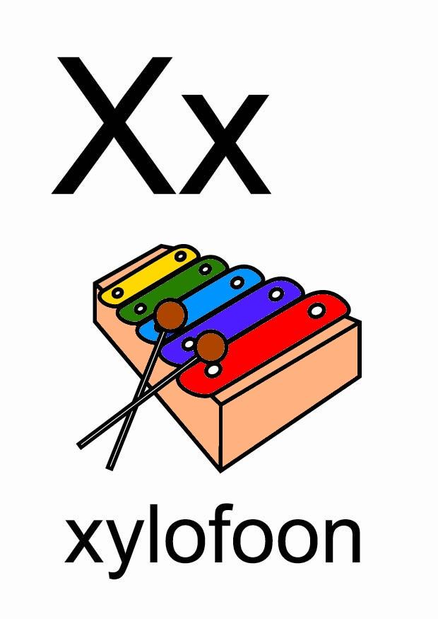 Imagen x