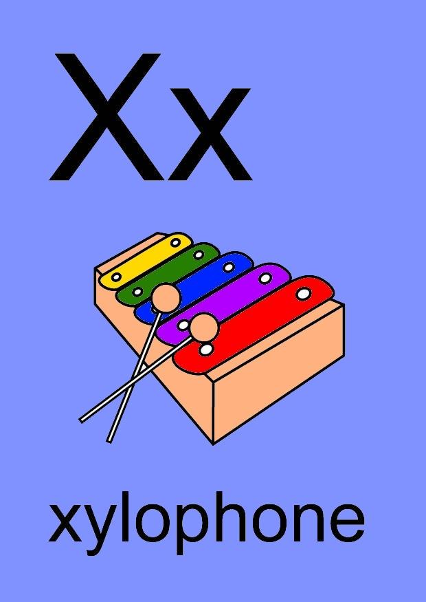 Imagen x