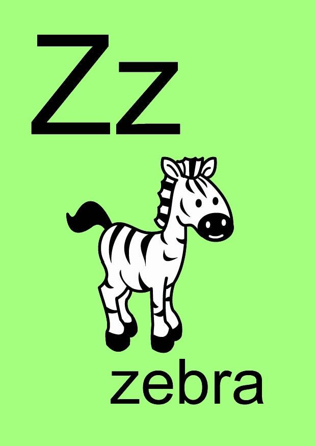 Imagen z