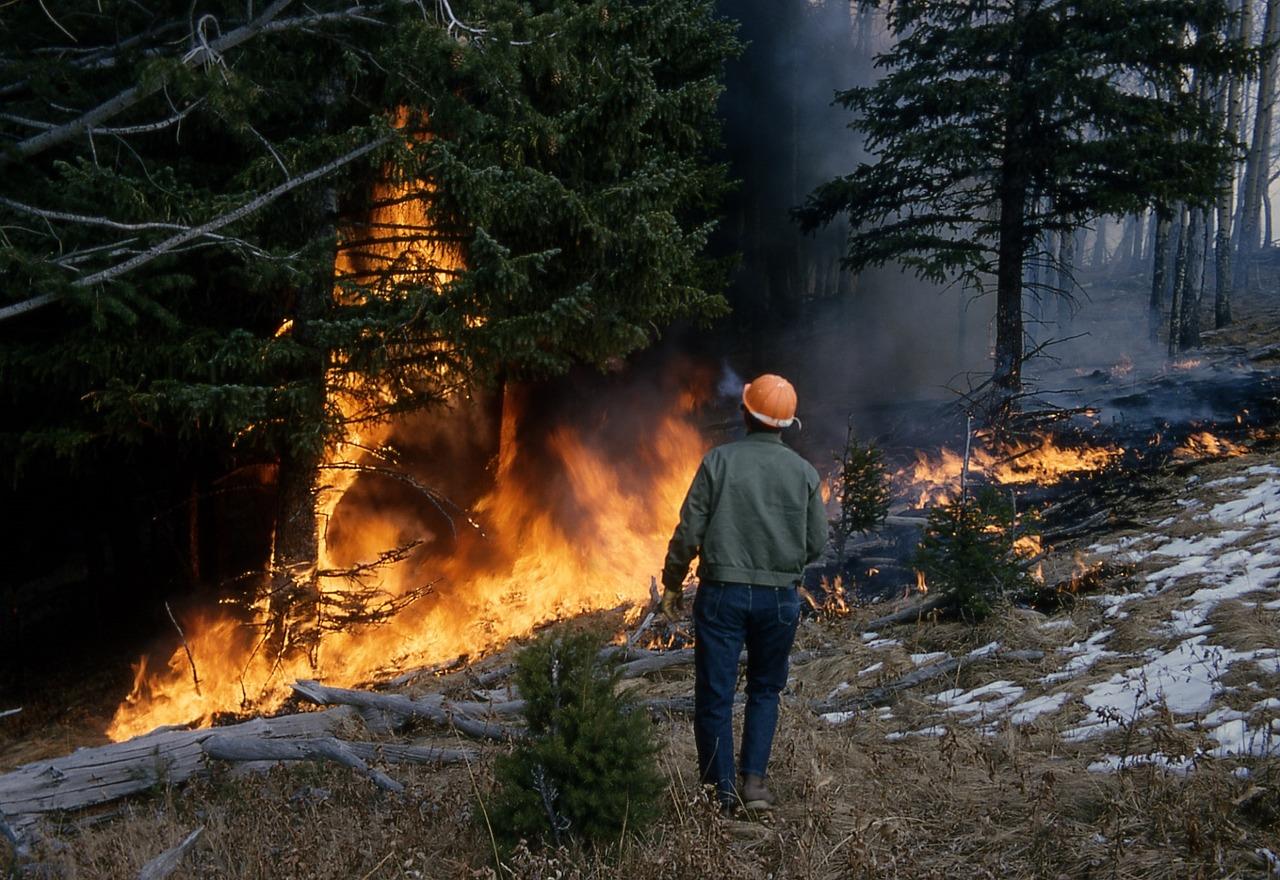 incendio forestal Foto incendio forestal