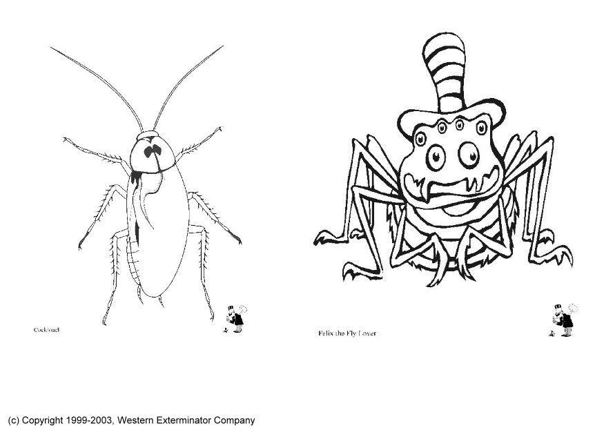 Dibujo para colorear insectos