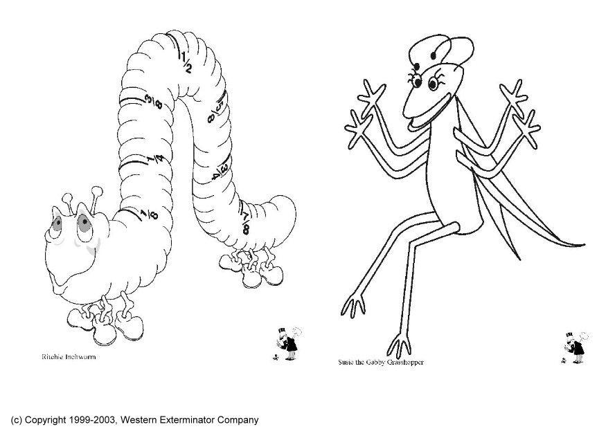 insectos Dibujo para colorear insectos