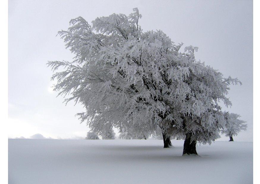 invierno Foto invierno