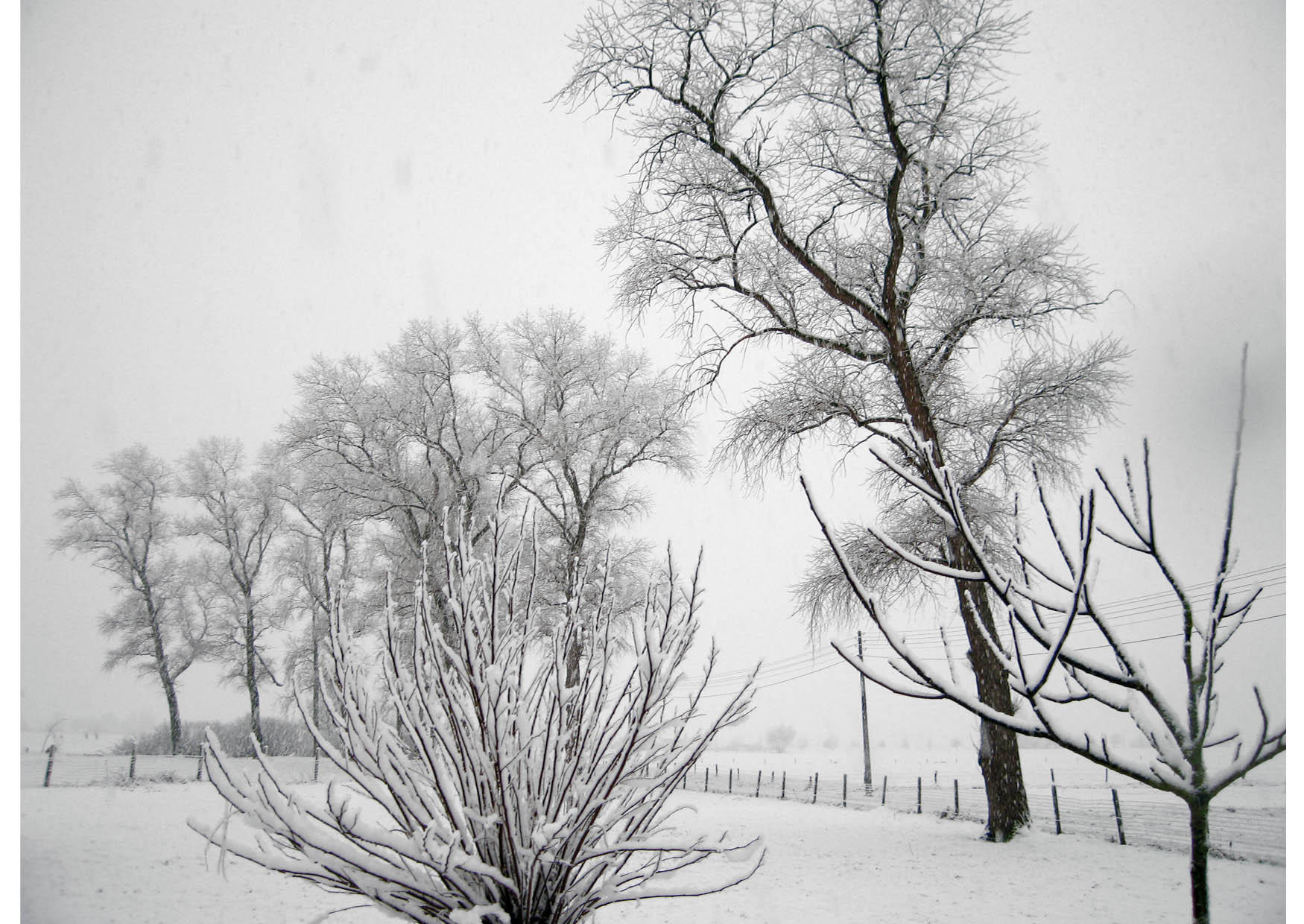Foto invierno