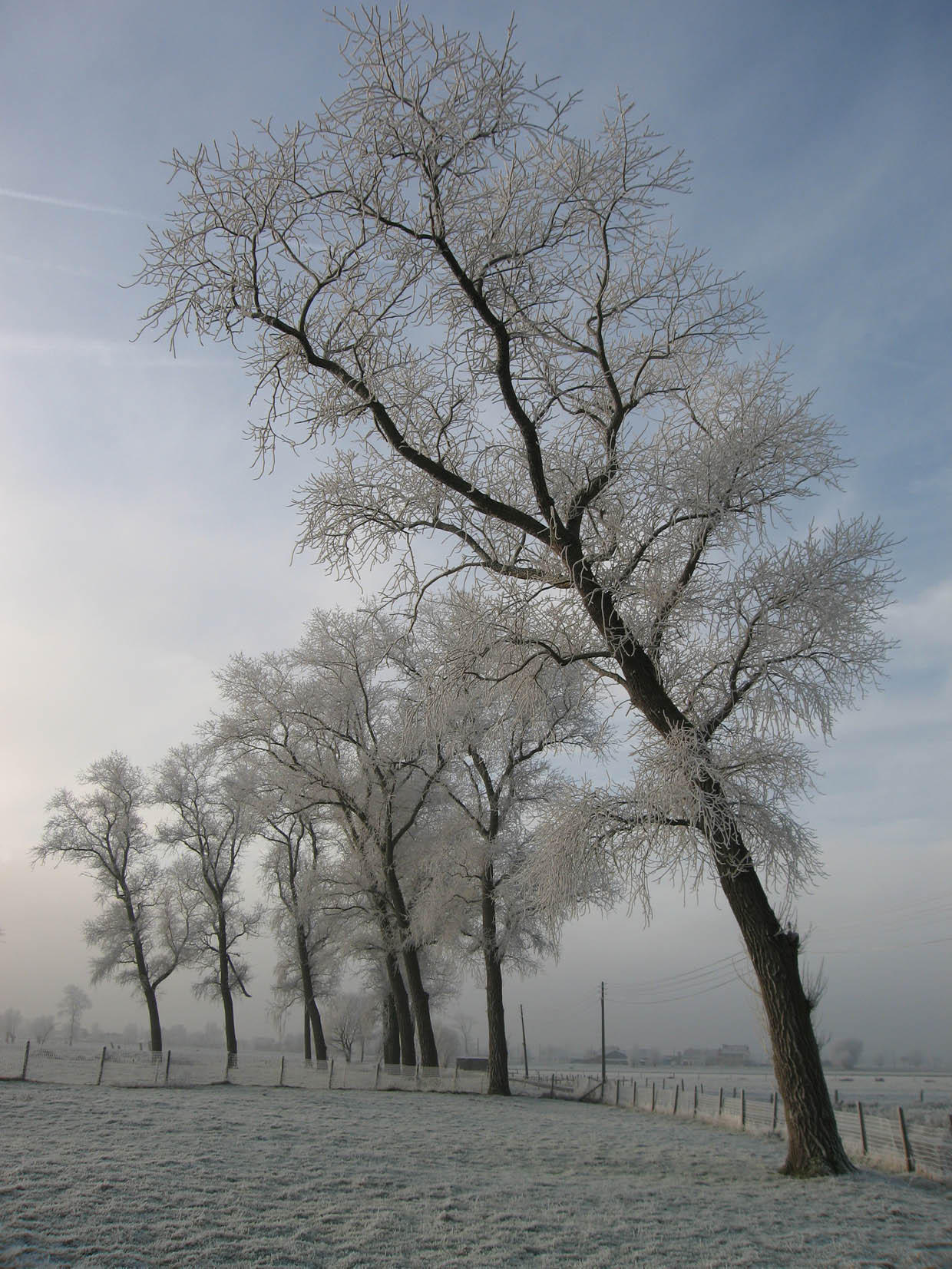 invierno Foto invierno