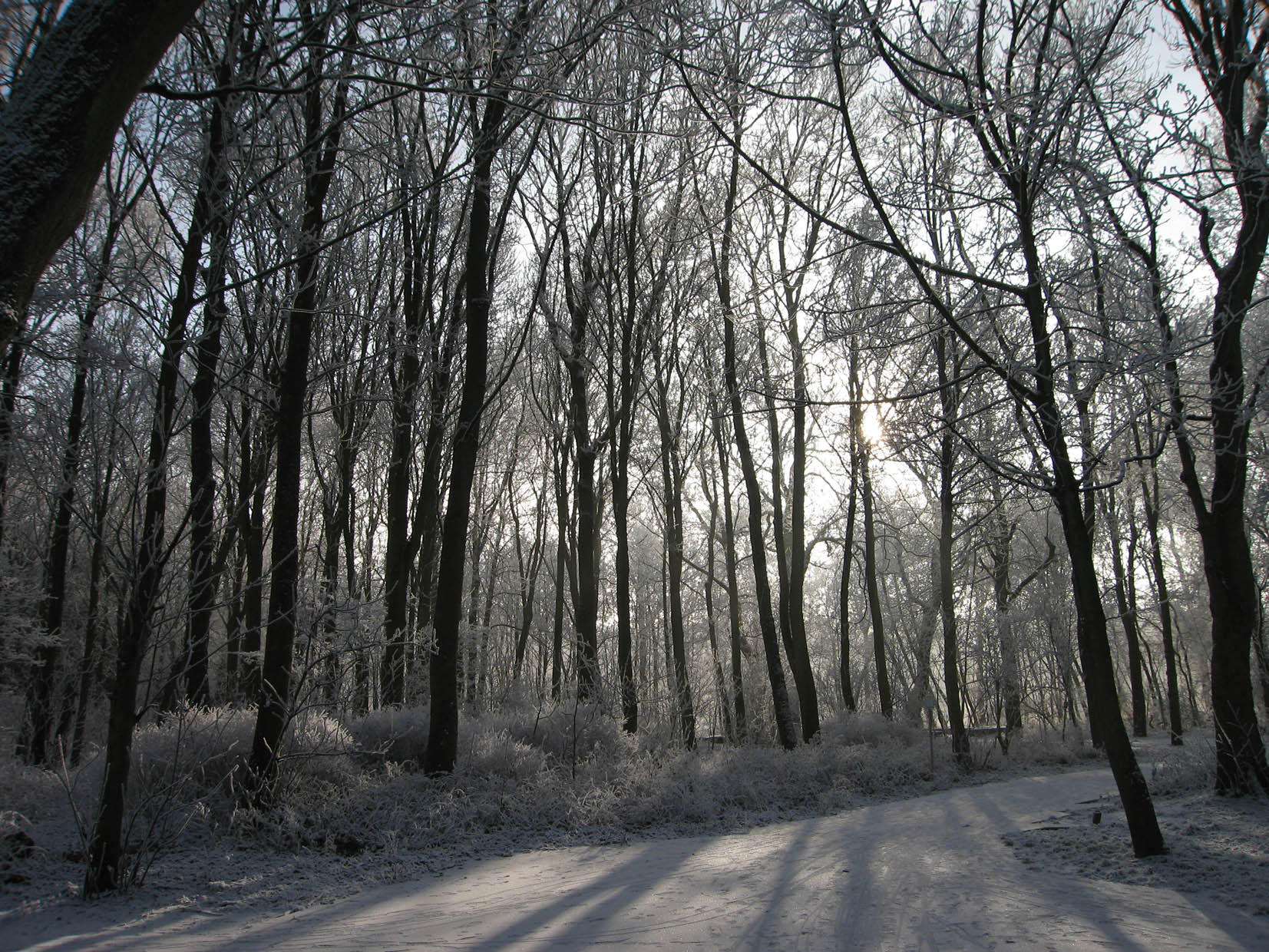 invierno Foto invierno