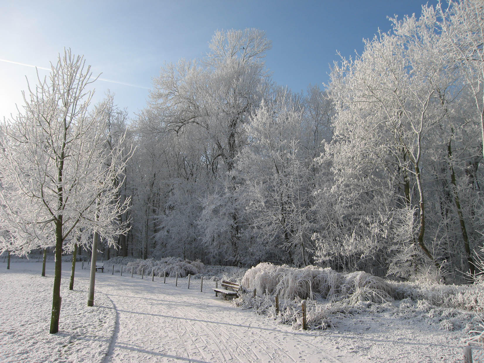 invierno Foto invierno