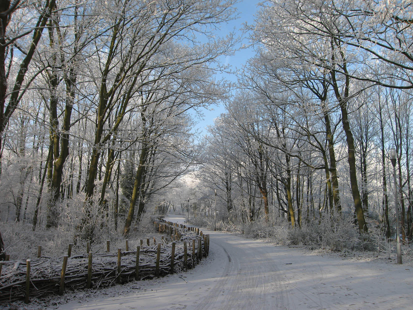 invierno Foto invierno