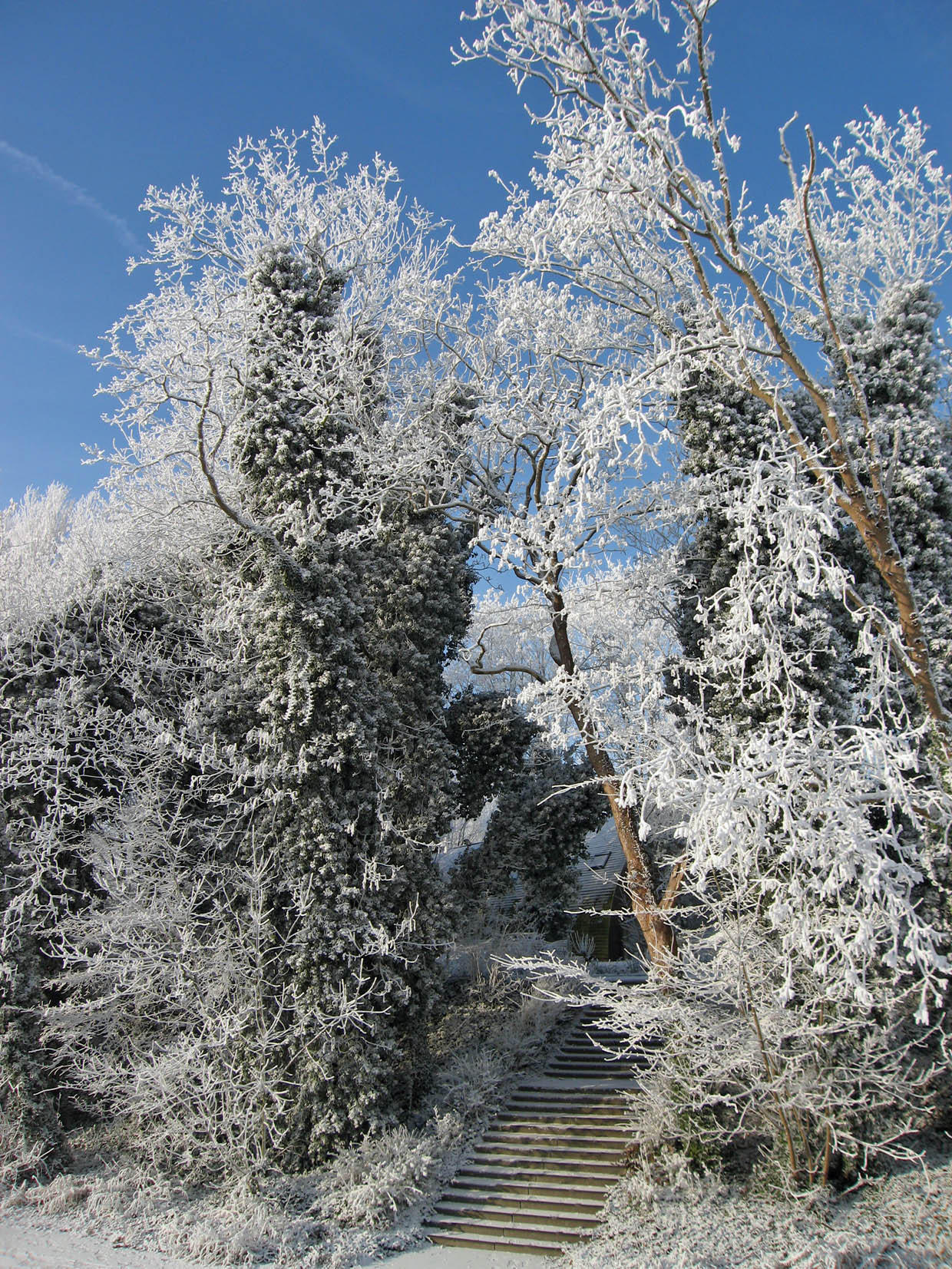 invierno Foto invierno