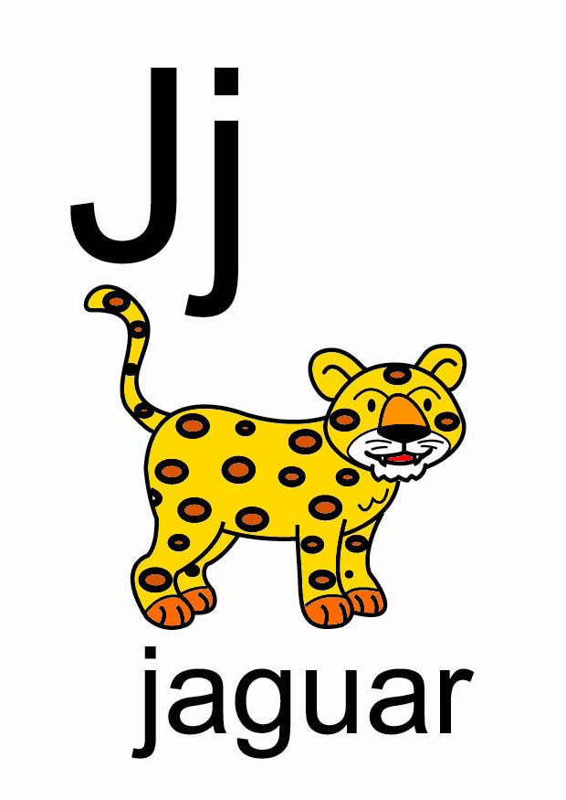 j Imagen j