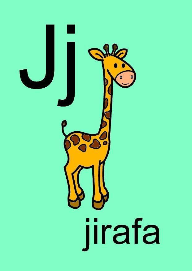 j Imagen j