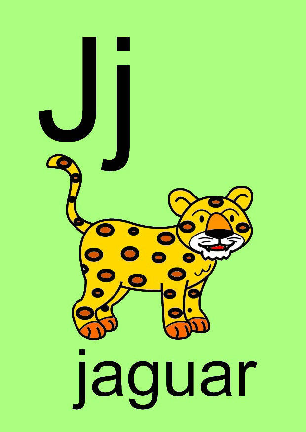 j Imagen j