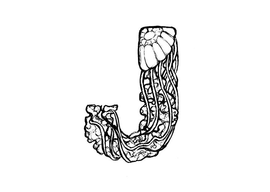 j-jellyfish Dibujo para colorear j-jellyfish
