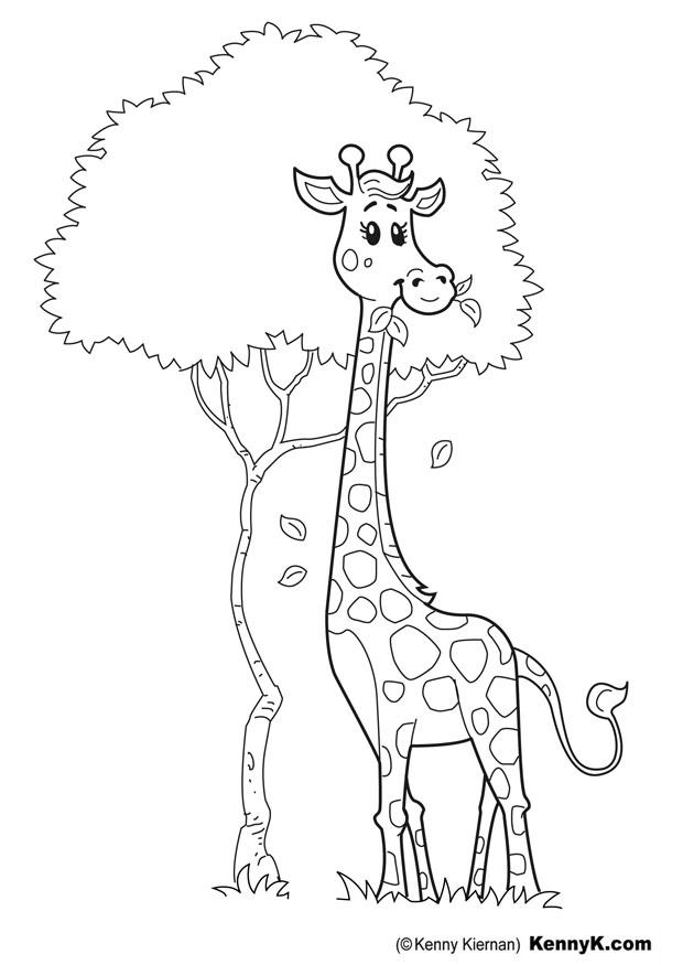 jirafa Dibujo para colorear jirafa