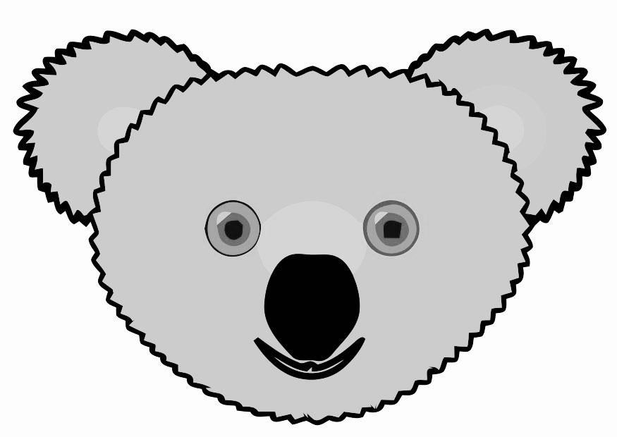 koala Imagen koala