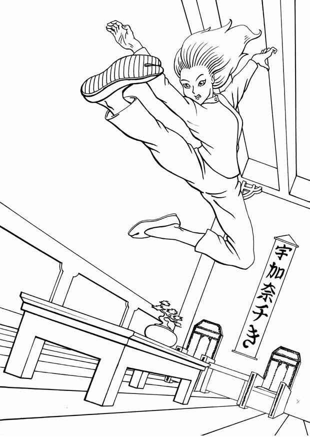 Dibujo para colorear kung fu