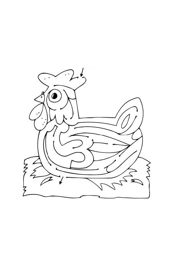Dibujo para colorear laberinto de gallina