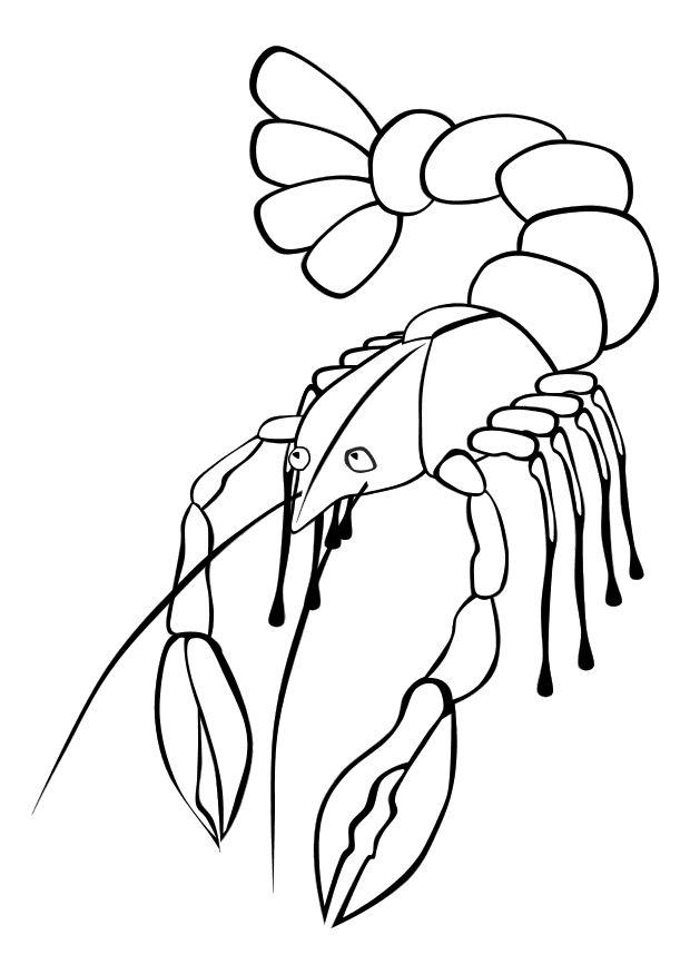 langosta Dibujo para colorear langosta