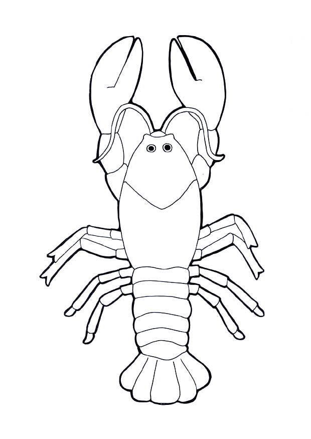 langosta Dibujo para colorear langosta