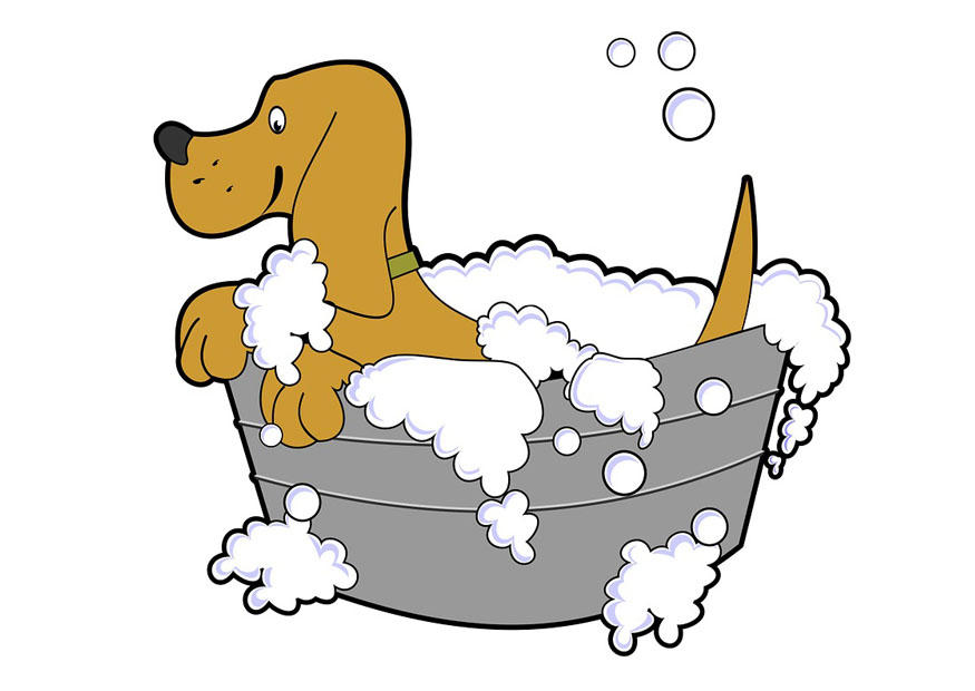 lavado de perro Dibujo para colorear lavado de perro