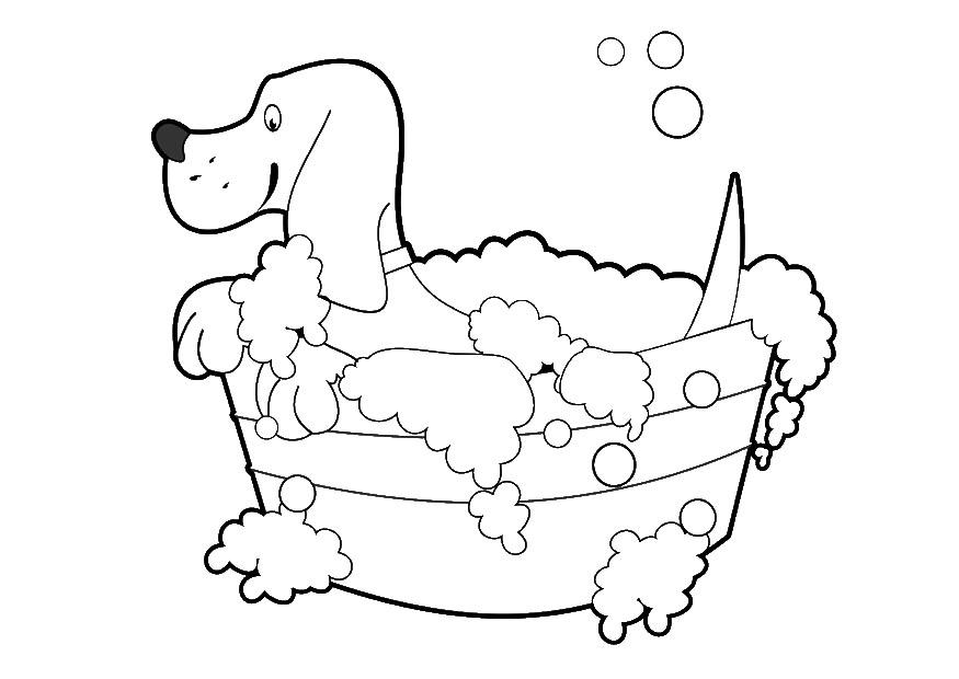 lavado de perro Dibujo para colorear lavado de perro