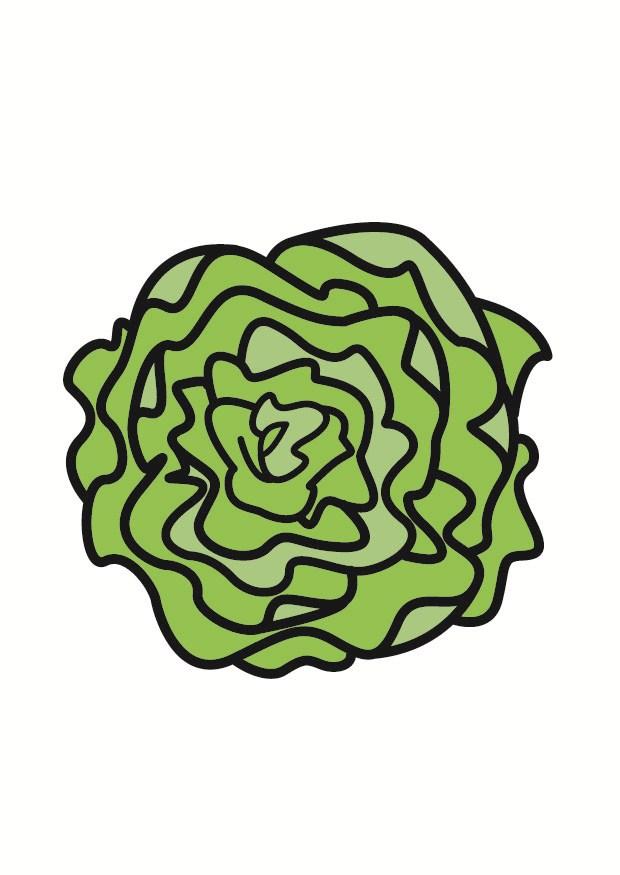 lechuga Imagen lechuga