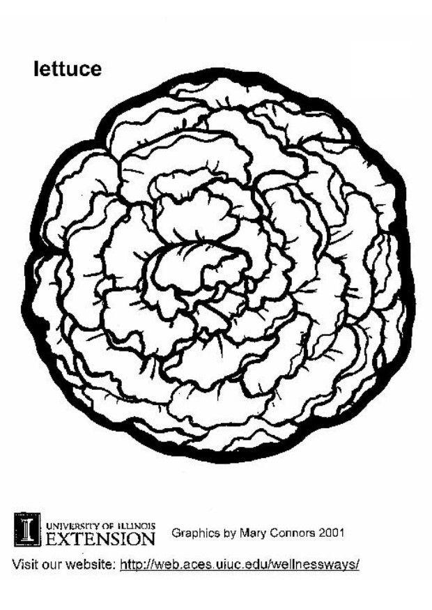 lechuga Dibujo para colorear lechuga