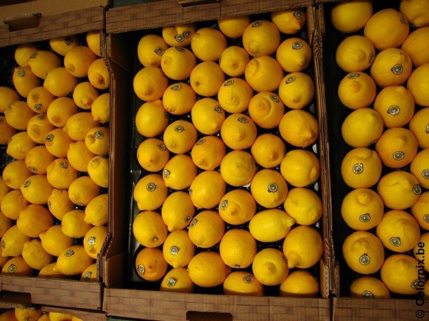 Foto limones