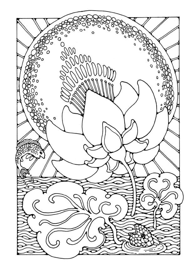 loto Dibujo para colorear loto
