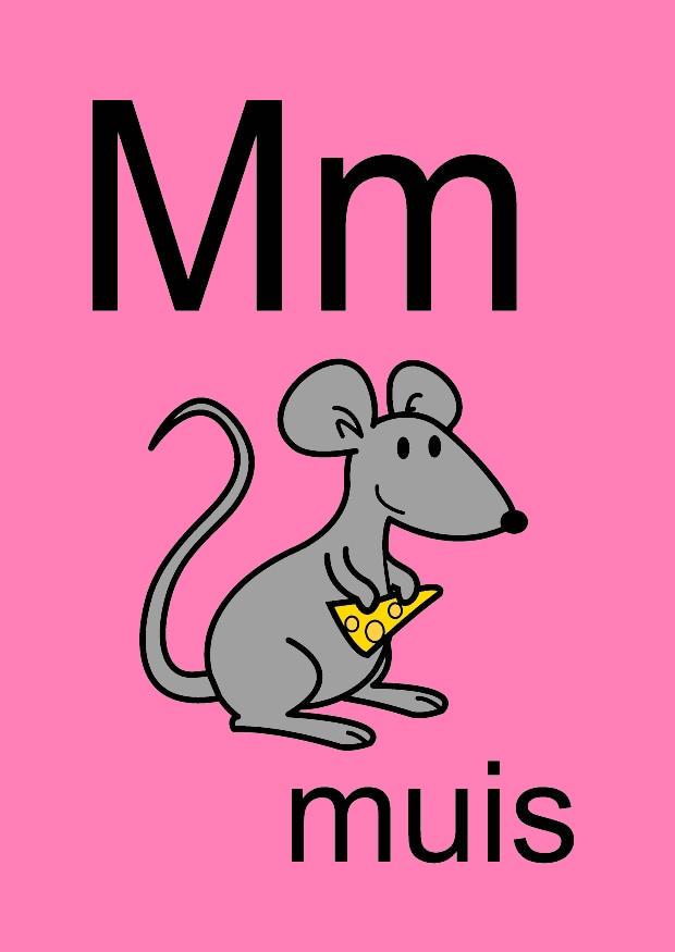 m Imagen m