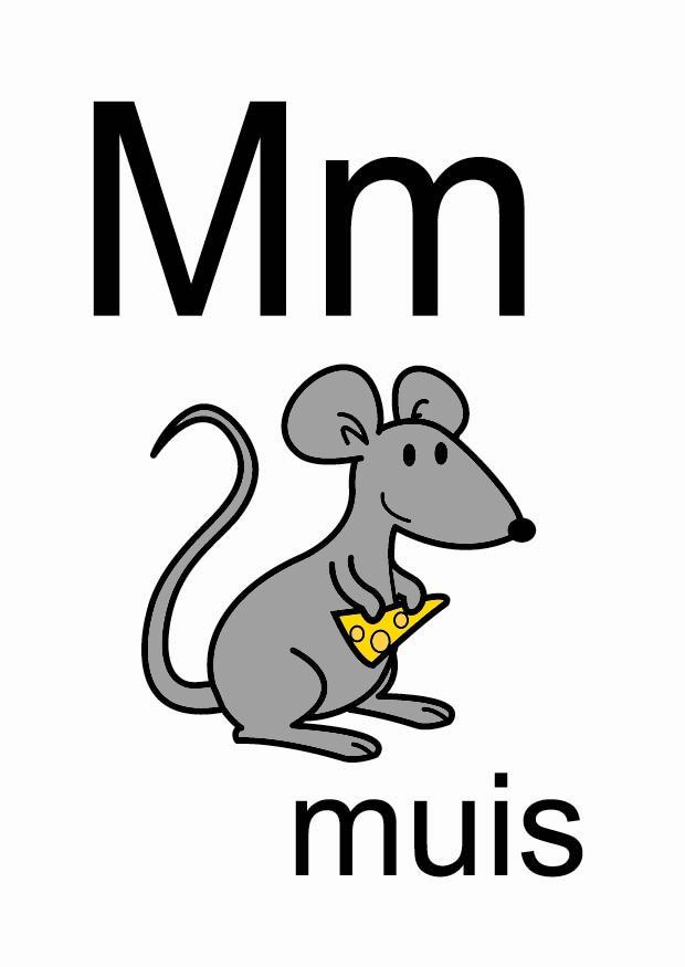 m Imagen m