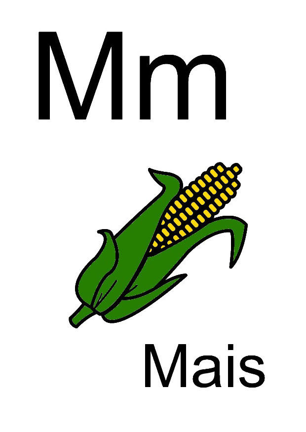 m Imagen m