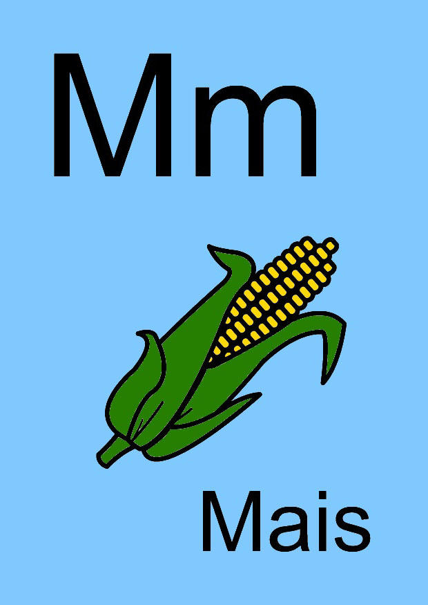 m Imagen m