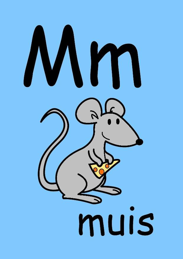 Imagen m