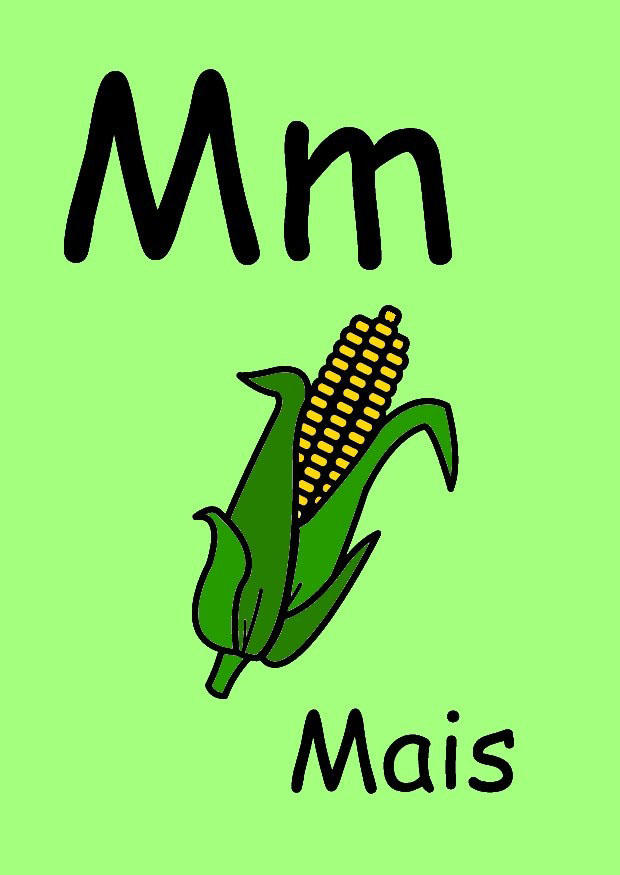 m Imagen m