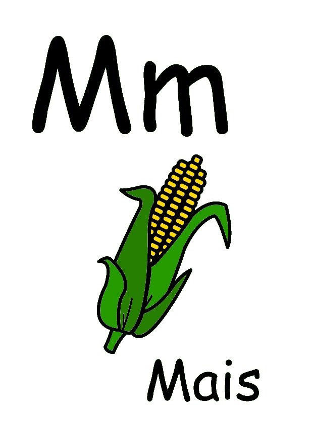 m Imagen m