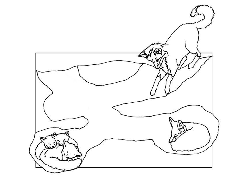 madriguera de zorros Dibujo para colorear madriguera de zorros
