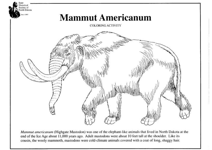 mamut americano Dibujo para colorear mamut americano