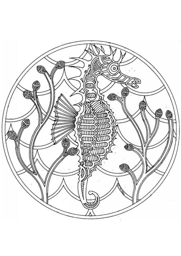 mandala caballito de mar Dibujo para colorear mandala caballito de mar