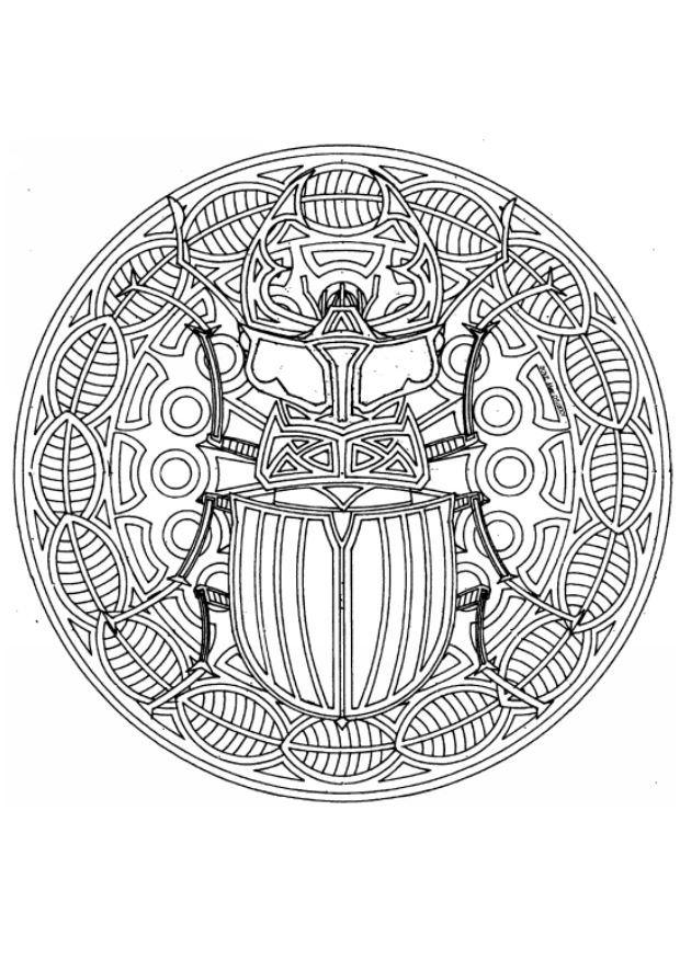 mandala escarabajo Dibujo para colorear mandala escarabajo